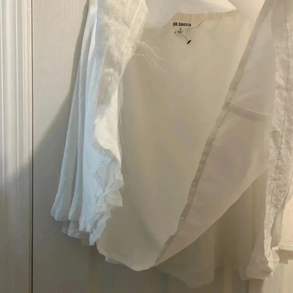 BB Dakota mini skirt - Picture 5 of 5